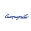 Campagnolo® Plateau Campagnolo FC-SR134 110 Mm 11 Intérieur- Noir